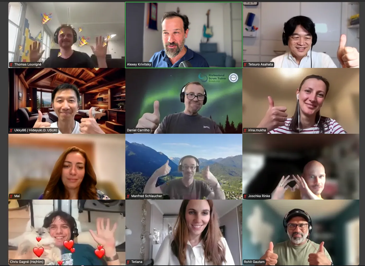 A live online C-OTP class on Zoom: participants with Alexey Krivitsky